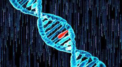 afb. DNA schade 8