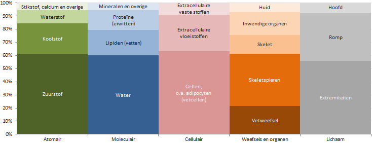 Five level model