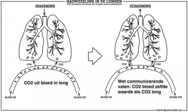 Gaswisseling long 627x375