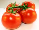 tomaten